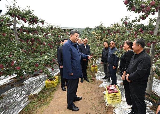 习近平山西考察_深化上海自贸区改革受益股_