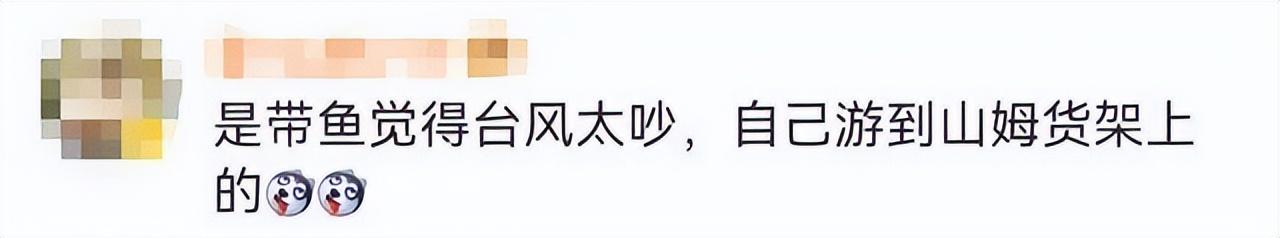 带鱼捕捞时间与台风过境日重合？山姆回应_带鱼捕捞时间与台风过境日重合？山姆回应_